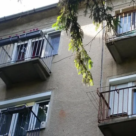 Free Parking - Tisza-parti Napfény *