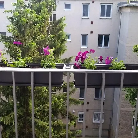 Tisza-parti Napfeny Szeged