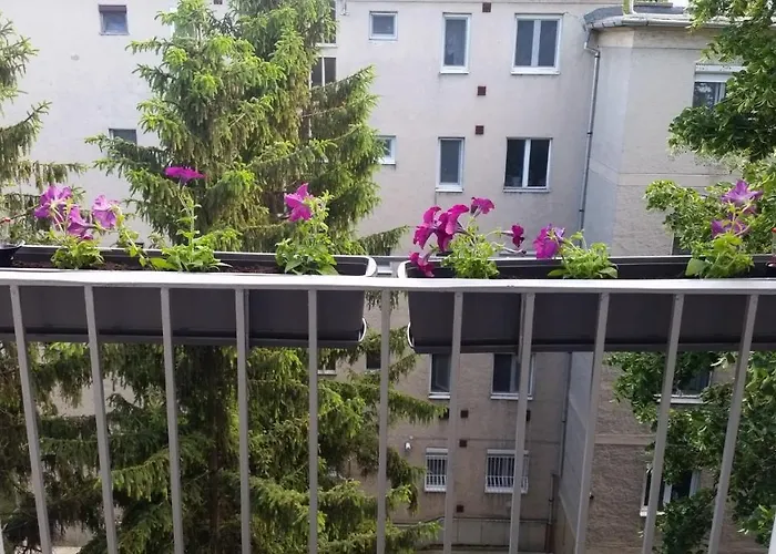 Tisza-parti Napfeny Seghedin
